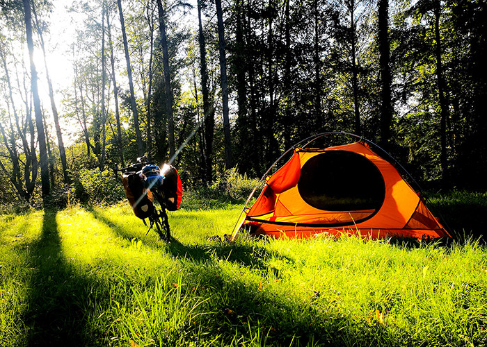 Selva negra y Alemania 2023